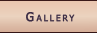 Photo Gallery
