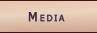 Audio and other Media